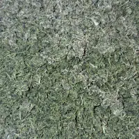 سبزی قورمه|خوردنی و آشامیدنی|نیشابور, ده حلاج|دیوار