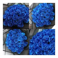 گل رز روبانی