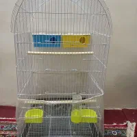 قفس مرغ عشق و عروس هلندی