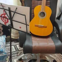 گیتار  موسیقی  ساز