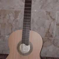 گیتار مدل الگرو