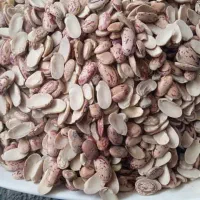 لوبیا چیتی شکسته|خوردنی و آشامیدنی|بهشهر, |دیوار