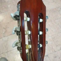 گیتار|گیتار، بیس، امپلیفایر|سبزوار, امیریه|دیوار