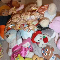 عروسک|اسباب‌‌بازی|شیراز, میانرود|دیوار