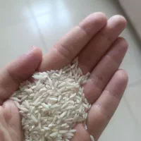برنج هاشمی معطر