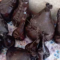 هیزه جا روغنی|ظروف نگهدارنده، پلاستیکی، یکبارمصرف|ایلام, |دیوار