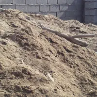 کود حیوانی|خدمات باغبانی و درختکاری|بندرعباس, |دیوار