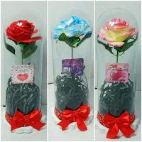 مجسمه پلی استر و شیشه های ولنتاین