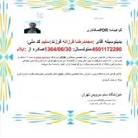 صافکاری وشاسی کشی و نقاشی PDR (استادماهرغرب.)