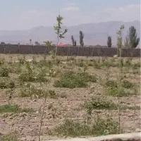 فروش زمین باغی نوبهار هزار و پنجاه متری|فروش دفتر صنعتی، کشاورزی، تجاری|مشهد, احمدآباد|دیوار