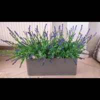 گل مصنوعی با گلدان از جنس پلیمر اصل