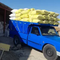 .خرید و جمع آوری کود فضله کبوتر وحشی سوله وشیروانی