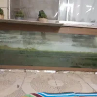 آکواریوم سایز بزرگ شیشه ۱۰ میل