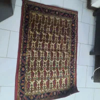 فرش دستباف عتیقه تمیز|فرش|کرج, ساماندهی|دیوار
