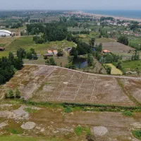 زمین شهرکی در شهرک ساحلی 60 قطعه ای سرمایه گذاری|فروش زمین و ملک کلنگی|رشت, پاستوریزه|دیوار