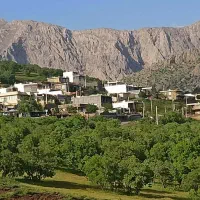 زمین-روستای-بیله-ای-شهرستان-جوانرود