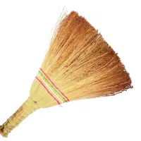 جارودستی160تومن