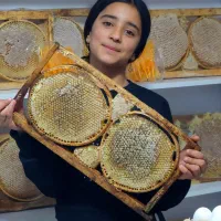 خودبافت|خوردنی و آشامیدنی|سیلوانه, |دیوار