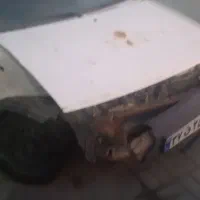 پراید ۸۶ تصادفی