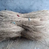 ۶۷۰عدد جارو دونه ای۸۰تومان