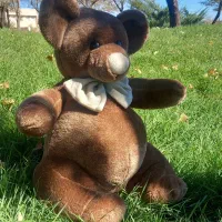 دوره کامل عروسک سازی برای اولین بار در قاین|خدمات آموزشی|قائن, |دیوار