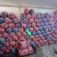 بالش|رختخواب، بالش، پتو|سراوان, |دیوار