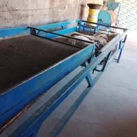کارگاه زرشک پراکنی