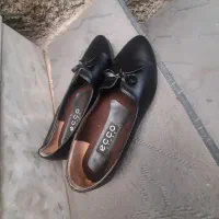 پالتو|لباس|جوانرود, |دیوار