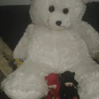 9 عدد عروسک فقط یک ملیون پونصد|اسباببازی|شیراز, لب آب|دیوار