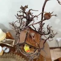 کلبه درختی دکوری مینیاتوری|مجسمه، تندیس، ماکت|تهران, سلسبیل شمالی|دیوار