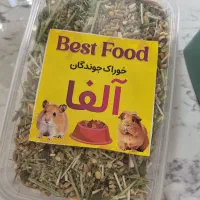همستر کوچک|موش و خرگوش|اصفهان, بهارستان|دیوار