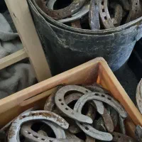 نعل کهنه اسب|اسب و تجهیزات اسبسواری|اصفهان, رسالت|دیوار