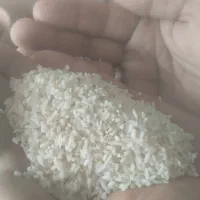 فروش 50کیلو برنج گیلان سرلاشه صدری درجه یک