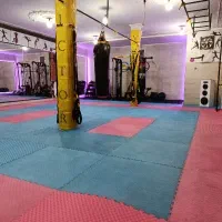 ثبت‌نام تابستانه آکادمی ورزشی پالیز