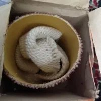 اشیائ عتیقه|کلکسیون اشیاء عتیقه|اهواز, زیتون کارگری|دیوار