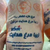 مرغ کشتار روز هدایت قیمت کشتارگاه