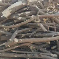خریدار انواع  چوب و درخت