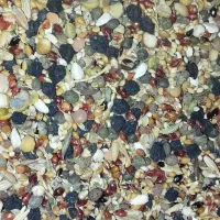 عدس|لوازم جانبی حیوانات|کبودرآهنگ, |دیوار