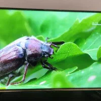 ال‌ای‌دی فول HD هایسنس ۴۰ اینچ داری دو گیرنده