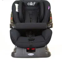 صندلی دلیجان