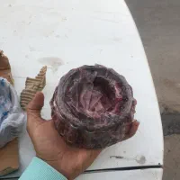 بلبرینگ بنز