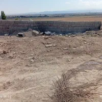 زمین-بلوار-کشمیری