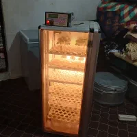 دستگاه جوجه کشی|لوازم جانبی حیوانات|بم, |دیوار