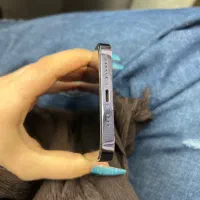 14 promax 256 za|موبایل|شیراز, چنچنه|دیوار