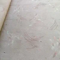 موکت|موکت|شیراز, حجت آباد|دیوار