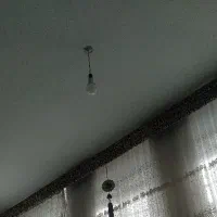 همخونه-میشم