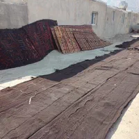 سیاه چادر (دوار)