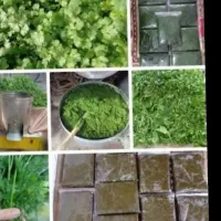 سبزی قرمه خوزستان