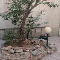 ویلایی160متری-سند-پایانکار