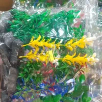 ماهی عروس|ماهی|شاهرود, |دیوار